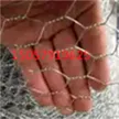 缩略图 4