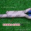 缩略图 6