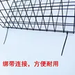 缩略图 5