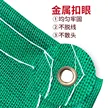 缩略图 5