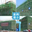 缩略图 5