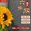 缩略图 2