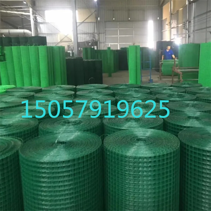 电焊网 建筑用铁丝网 PVC涂塑电焊网 绿色护栏网详情10