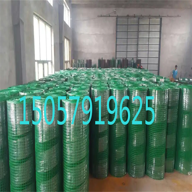 电焊网 建筑用铁丝网 PVC涂塑电焊网 绿色护栏网详情9