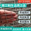 缩略图 4