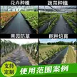 缩略图 5
