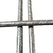 缩略图 5