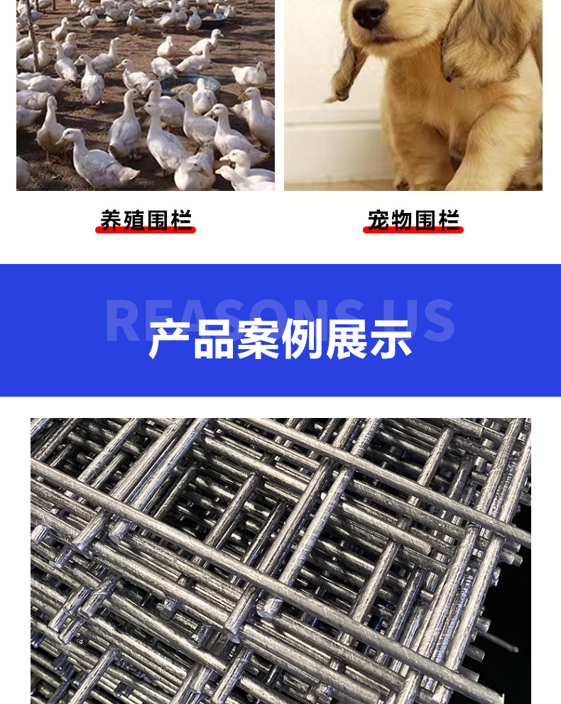 建筑网片_09.jpg