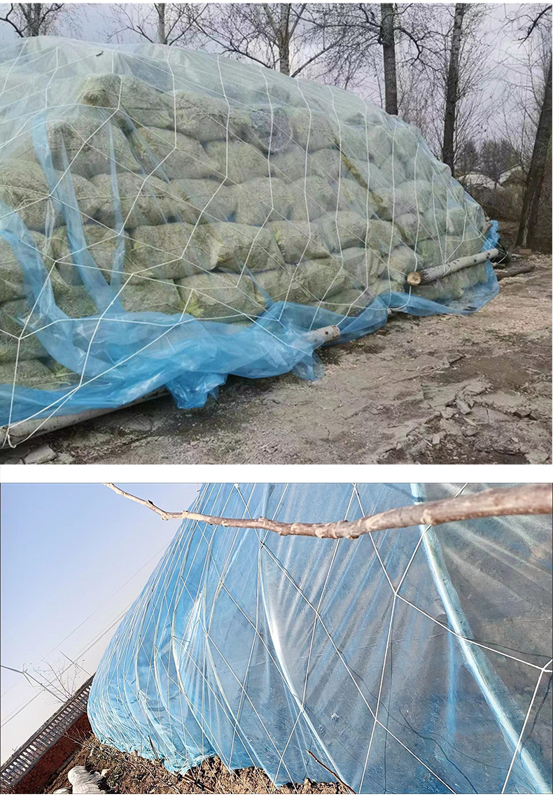 大棚防风网安全养殖网尼龙防护网防风网大孔压膜绳网挡风量大优惠详情20