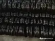 缩略图 2