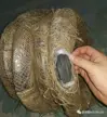 缩略图 4