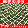 缩略图 2