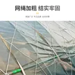 缩略图 3