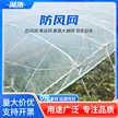 缩略图 1