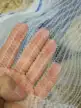 缩略图 1