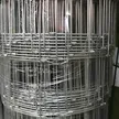 缩略图 1