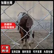 缩略图 2