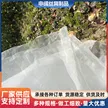 缩略图 5