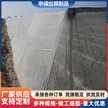 缩略图 3