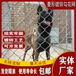 缩略图 2