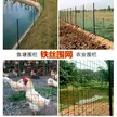 缩略图 5