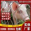缩略图 2