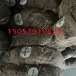 缩略图 5