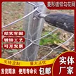 缩略图 5