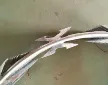 缩略图 4