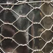 缩略图 2