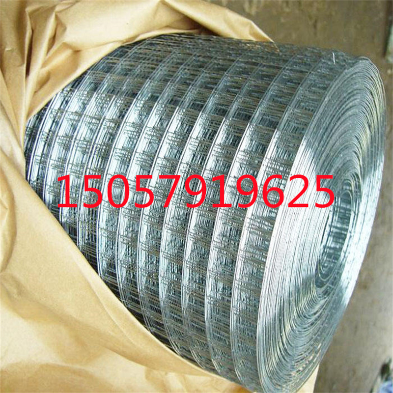 热镀锌鸟笼焊接网围栏卷 1/2 英寸 PVC 涂层电焊网详情6