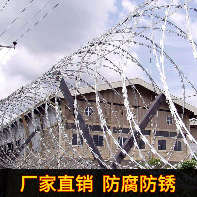 金属刀片刺绳护栏，出口非洲，东南亚详情5