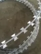 缩略图 2