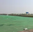 缩略图 6