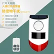 缩略图 6