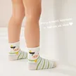 缩略图 3
