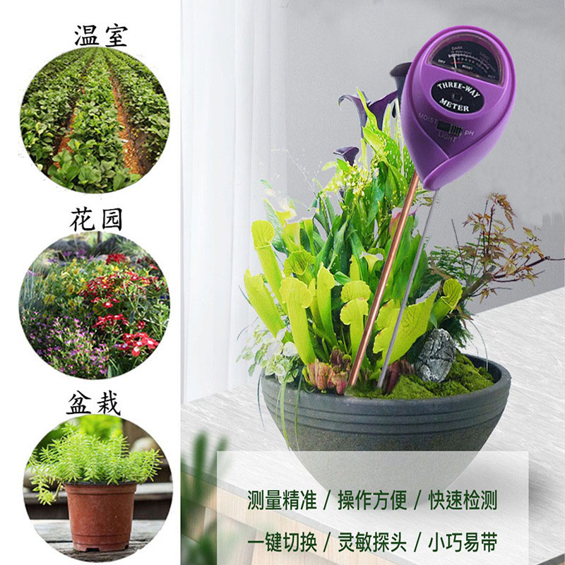 温度计 物理感应PH土壤湿度计 土壤酸度计温度计吸卡圆头双针紫色详情5