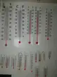 缩略图 9