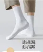 缩略图 7