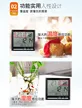 缩略图 4