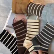 缩略图 7