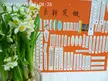 缩略图 1