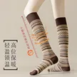 缩略图 1