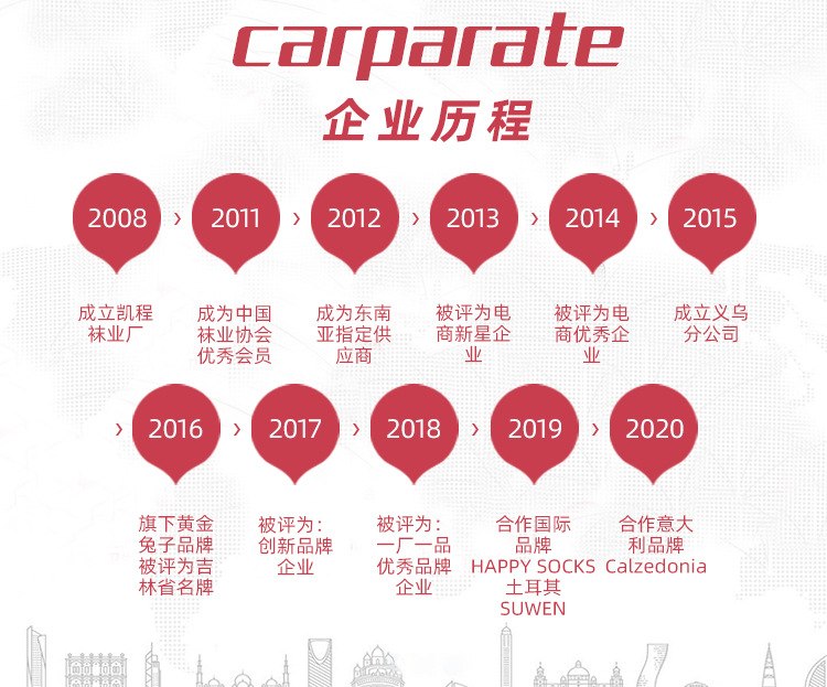 企业历程