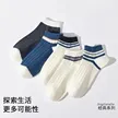 缩略图 9