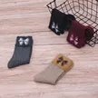 缩略图 3