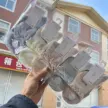 缩略图 6