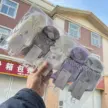 缩略图 7