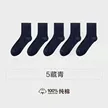 缩略图 8