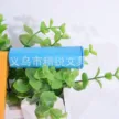 缩略图 4